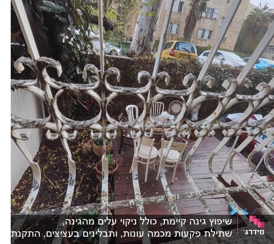עציצים עם צמחים על רצפת עץ בגינה
